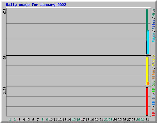 Daily usage for January 2022