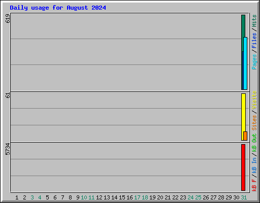 Daily usage for August 2024