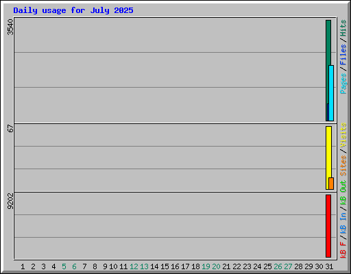 Daily usage for July 2025