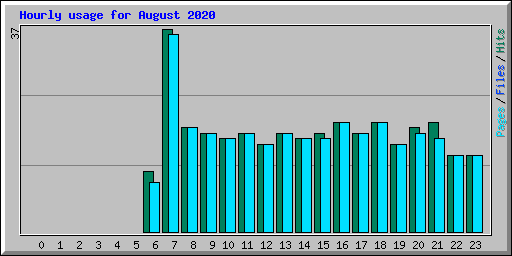 Hourly usage for August 2020
