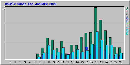 Hourly usage for January 2022