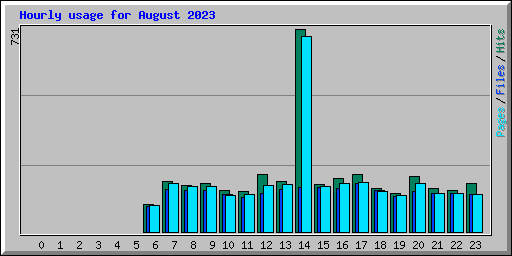 Hourly usage for August 2023