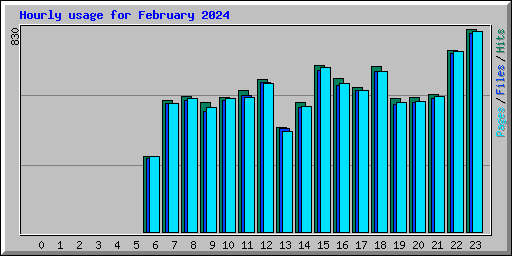 Hourly usage for February 2024