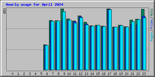 Hourly usage for April 2024
