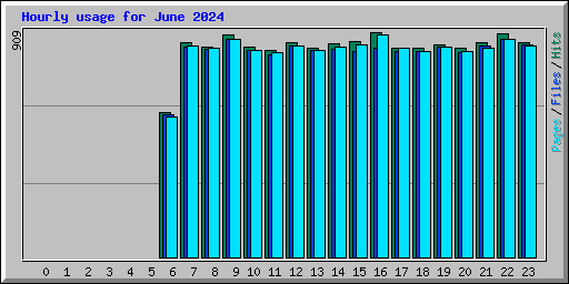 Hourly usage for June 2024