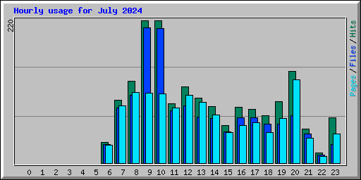 Hourly usage for July 2024