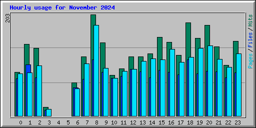 Hourly usage for November 2024