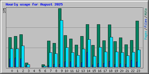 Hourly usage for August 2025