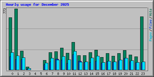 Hourly usage for December 2025